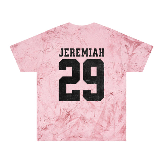 Jeremiah 29:11 T-Shirt
